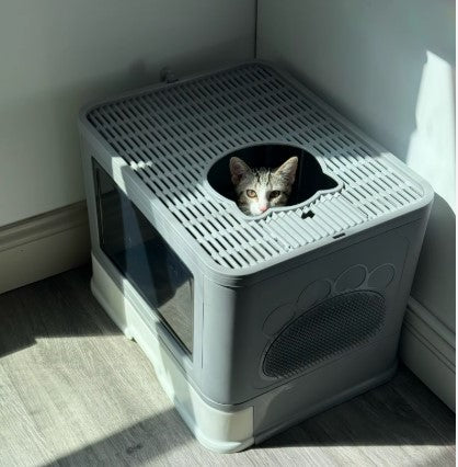 Bac à litière anti-odeurs et projections